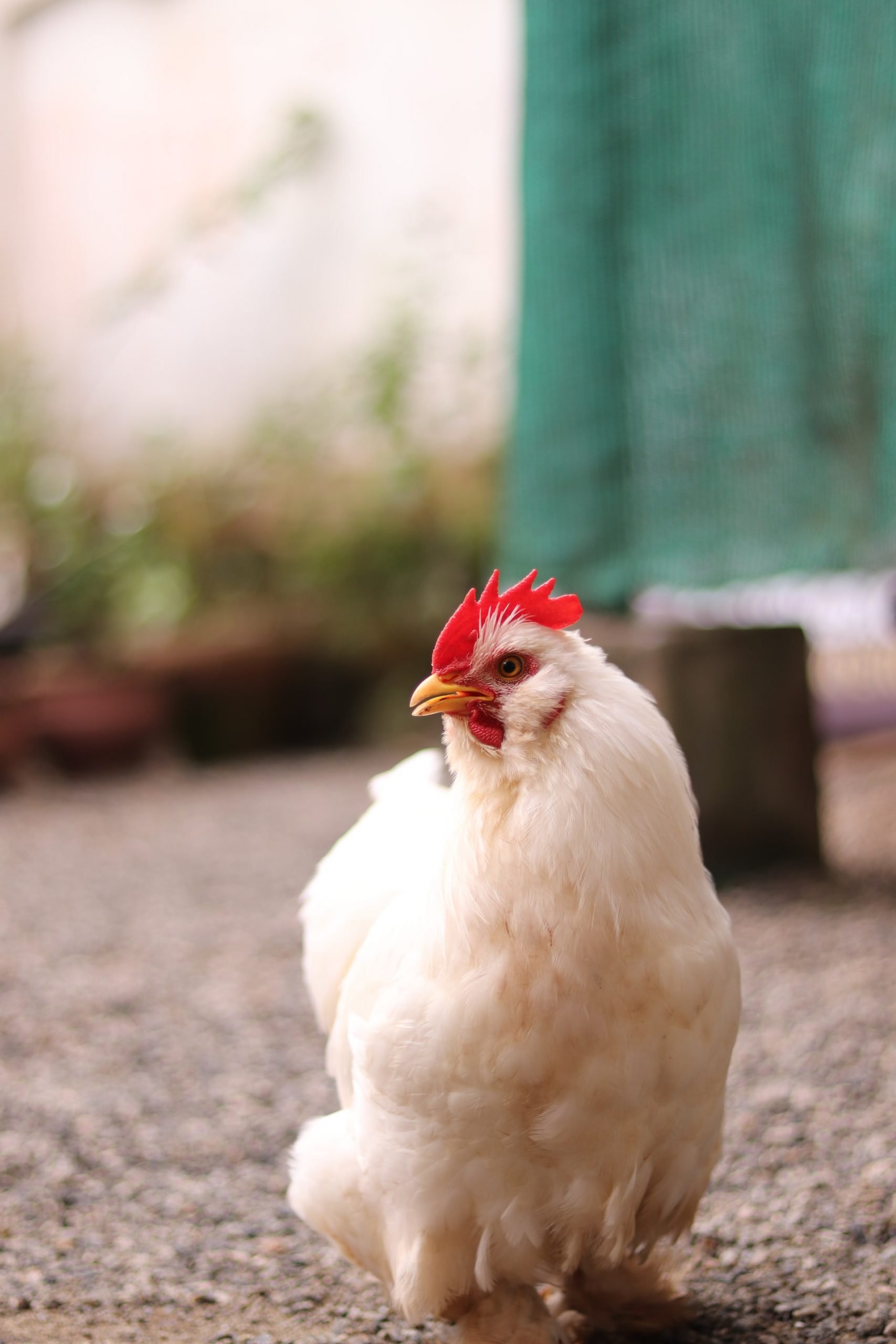 geon-george-LZvZUPze2o8-unsplash